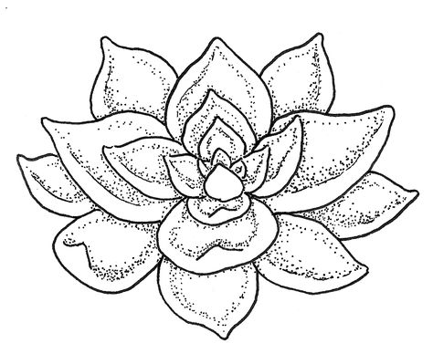 Succulent Outline Drawing, Succulent Graphic Design, How To Draw Succulents, Succulent Sketches, Succulent Drawing Sketches, Succulent Line Drawing, Draw Succulents, Succulent Drawing, Succulent Tattoo