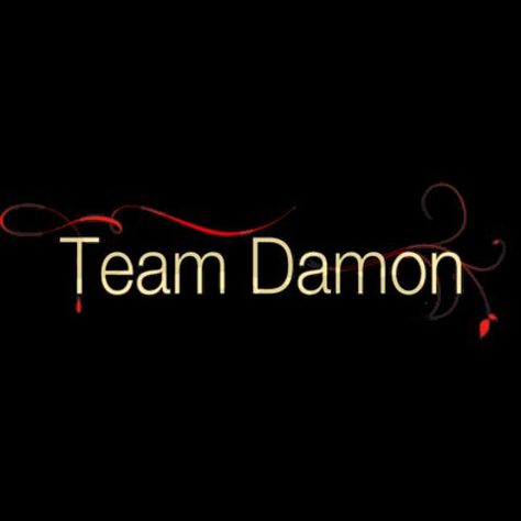 <3 Team Damon - Why yes, yes I am! Team Damon, Tvd Quotes, Diary Movie, The Salvatore Brothers, Vampire Diaries Poster, The Vampire Diaries 3, Vampire Diaries Quotes, I Have A Boyfriend, Geeky Girls