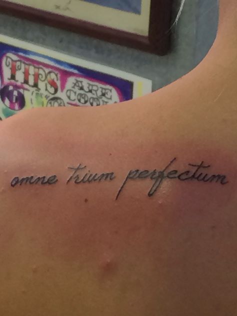 Omne trium perfectum Omne Trium Perfectum Tattoo, Ink Therapy, Jewelry Tattoo, Make Your Mark, Tiny Tattoos, Tattoos And Piercings, Fun Stuff, Tattoo Quotes, Piercings