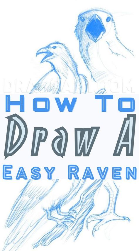 Learn how to draw a raven with step-by-step illustrated instructions and ready to print. The Raven is a fascinating creature that a lot of people like seeing. #drawings #cutedrawing #birddrawing #ravendrawings How To Draw A Raven Easy, Crow Art Cute, Raven Illustration Drawing, Raven Sketch Simple, Crows Ravens Drawing, Raven Feather Drawing, How To Draw Raven, Drawing A Raven, How To Paint A Crow