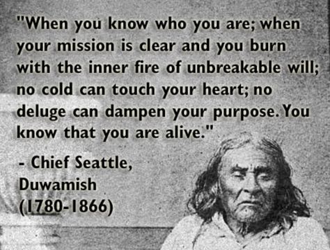 Indigenous Wisdom, Native Wisdom, Native American Proverbs, Native Quotes, American Indian Quotes, Native American Prayers, Native American Proverb, Chief Seattle, Native American Spirituality