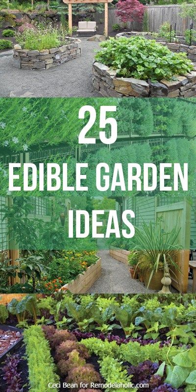 25 Edible Garden Ideas -- grow herbs and vegetables no matter the size of your yard @Remodelaholic Edible Garden Ideas, Kebun Herbal, Taman Diy, Grow Herbs, Edible Landscaping, Veg Garden, The Secret Garden, Garden Bed, Growing Herbs