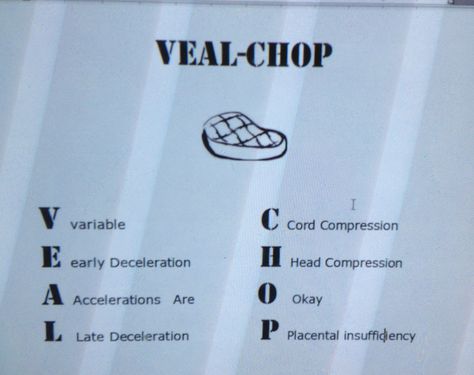 VEAL CHOP fetal heart rate monitoring Fetal Heart Rate Monitoring Nursing, Veal Chop Nursing, Maternal Nursing, Peds Nursing, Nurses Notes, Nurse Girl, Heart Rate Variability, Memory Notebook, University Of Illinois At Chicago