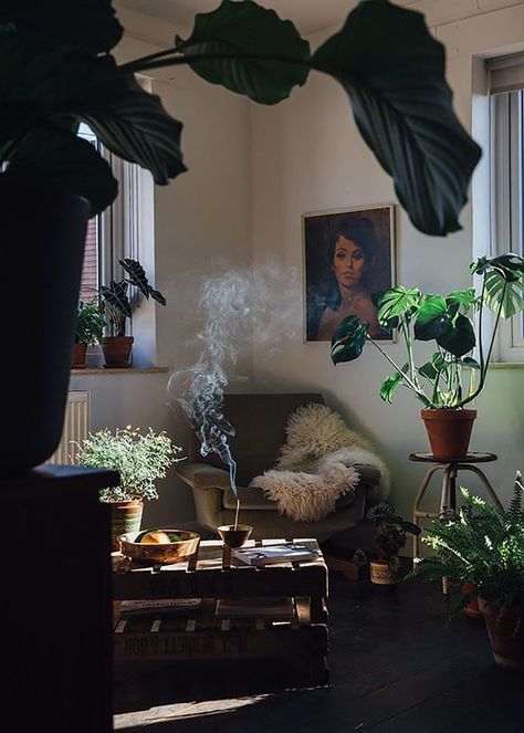 Witchy Apartment, Design Ložnic, Summer Vision, Lots Of Plants, Nyc Living, Aesthetic Apartment, Flat Ideas, غرفة ملابس, Bohemian Living