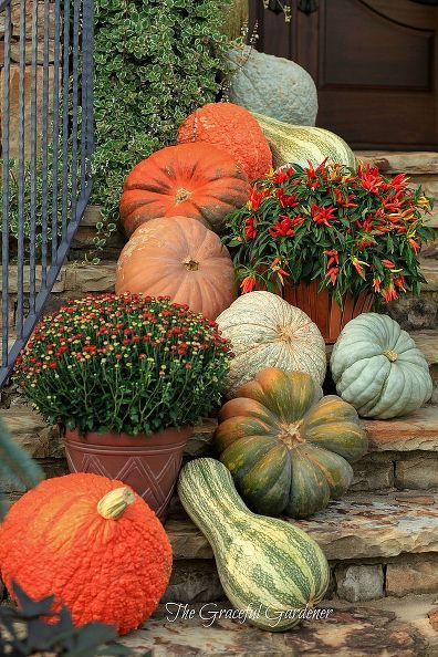 Fall landscaping: update your porch, patio or garden with gorgeous gourds and pumpkins! Fall Landscaping, Pumpkins And Gourds, Outside Fall Decor, Fruits Decoration, Pumpkin Display, Fall Deco, Autumn Decorating, Fall Front Porch, Fall Outdoor Decor