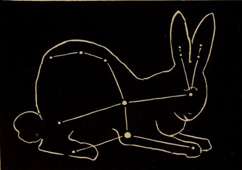 Lepus, the rabbit constellation. The star people. 1921. Owl Constellation, Rabbit Constellation, Lepus Constellation, Magic Rabbit, Star People, Astrology Capricorn, Planet Art, Celestial Map, Star Eyes