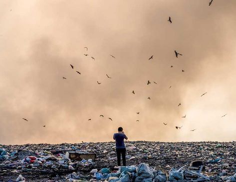 "Environmental Impact of Landfills"- Landfill sites, also known as sanitary landfills, are the areas where we dump waste produced by humans. As the world keeps developing, the waste we produce is also increasing. The constant increment in waste production also increases the effects of landfills on the environment. Here, you will learn about the... #trvst #inspiration #environment #impact #waste #landfill #landfills #environmental #pollute #impacts #explore #humans #spill Waste To Energy, Albert Schweitzer, Sustainable Practices, Sustainable Lifestyle, Natural Resources, Environmental Impact, Sustainable Living, Pollution, Newport