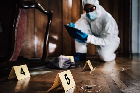 Science Camp, Detective Aesthetic, Forensic Science, Future Jobs, Future Career, Forensic, Dream Job, Clue, Adobe Stock