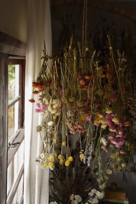 Get started on your flower drying journey with this charming Flower Hanger!  Hanging flowers are stunning as a functional feature in your home.  This is a lovely way of turning one hook into many.  This hanger has a rustic, country cottage feel to it, made with a raw textured steel in a simple and classic style.  Includes 5 adjustable steel hooks.  You can also hang more flowers by tying bunches directly onto the steel ring or add additional brass S Hooks, which also look beautiful dangling from Wildflower Confetti, Flower Drying, Wreath Making Kits, Rustic Country Cottage, Flowers Australia, Flower Bunches, Hanging Herbs, Magia Das Ervas, Billy Buttons