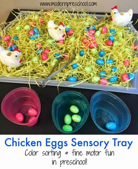 Fine motor and color sorting sensory tray with chicken eggs for toddlers and preschoolers from Modern Preschool Farm Theme Preschool, Sensory Tray, Maluchy Montessori, Farm Unit, Farm Preschool, Buat Pita, Easter Preschool, Farm Activities, Sensory Boxes