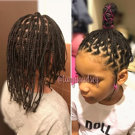 You Are Enough. on Instagram: “✨Mini Braids✨  ~I did this style on blow dried hair.  ✨Products: @kissegirl 3 N 1 mighty hair cream & Hair and body oil. USE CODE…” Nessa Hair, Natural Knotless Braids, Mini Braids Hairstyles, Mini Braids On Natural Hair, Blow Dried Hair, Mini Braids, Kid Hair, Curly Crochet Hair Styles, Quick Natural Hair Styles