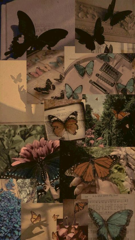 Collage Wallpaper Butterfly, Fall Butterfly Aesthetic, Aesthetic Pictures Of Butterflies, Phone Cover Wallpaper Hd, Butterfly Aesthetic Quotes Wallpaper, Brown Butterflies Wallpaper, Aesthetic Butterfly Wallpaper Vintage, Aesthetic Pictures Butterfly, Aesthetic Butterfly Pictures