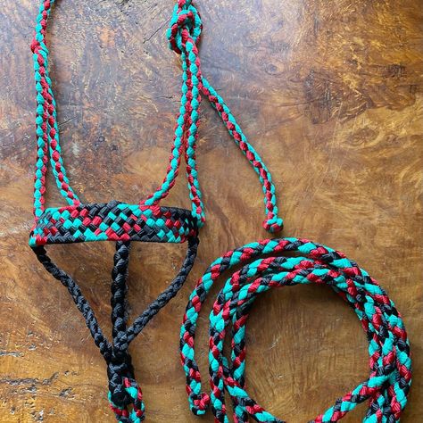 Western Horse Tack Turquoise, Regular Braid, Mule Tape Halter, Barrel Racing Tack Rodeo, Diy Halter, Horse Business, Horse Tack Diy, Bronc Halter, Diy Horse Barn