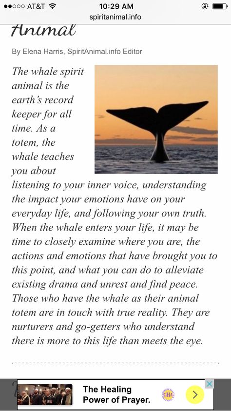 About whale Whale Symbolism Meaning, Orca Whale Spiritual Meaning, Quotes About Whales, Whale Spirit Animal Meaning, Orca Quotes, Whale 52, Whale Spirit Animal, Whale Symbolism, Whale Meaning