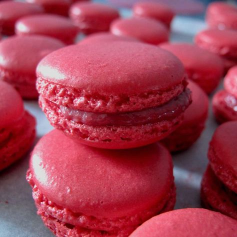 Raspberry Macarons Macarons Filling, Macarons Filling Recipe, Macaron Inspiration, Red Currant Recipe, French Desserts Easy, Rose Macarons, Rose Macaron, Currant Recipes, Raspberry Macaroons