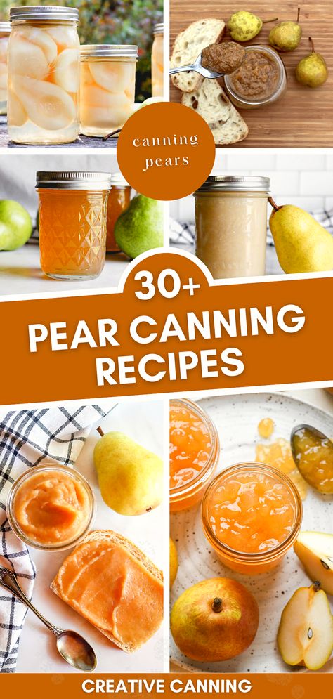 Delight in the sweet goodness of pears all year long with our collection of canning fruit recipes. From pear sauce to pear butter, explore 30+ pear canning recipes that bring out the best of this juicy fruit. Perfect your preserving pears technique and start canning pears! Canning Fresh Pears, Pear Preservation Recipes, Freezer Pear Sauce Recipe, How To Can Pears Canning Recipes, Can Pear Recipes, Canning Pear Sauce, Recipes For Canning Pears, Pear Butter Canning Recipes, Preserving Pears Canning Recipes