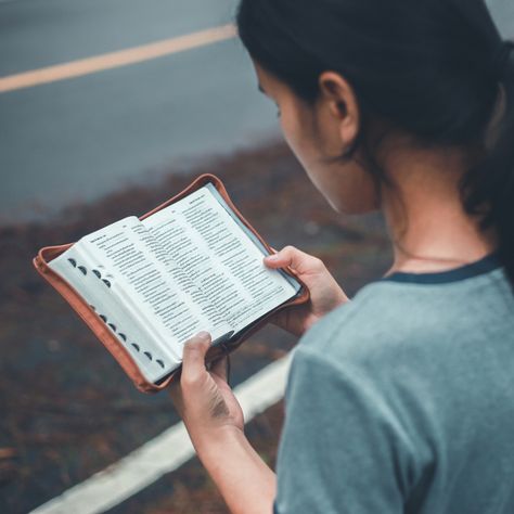 "I have felt the promptings from the Spirit more in my life. I have faced things this past year that I have been running from for years. I can only attribute that strength to the strength of the Savior—because it hasn’t been easy, but I have had the courage to be stronger and to face my fears.  "I feel an urge to study more and to feast, as Nephi says, on the words [of Christ]. I am learning so much more than I have ever learned [before]."  — a participant shared experience Face My Fears, Bible Meaning, God's Forgiveness, Reading The Bible, Church Media Design, Bible Verse Background, Bible Images, Jesus Photo, Bible Pictures