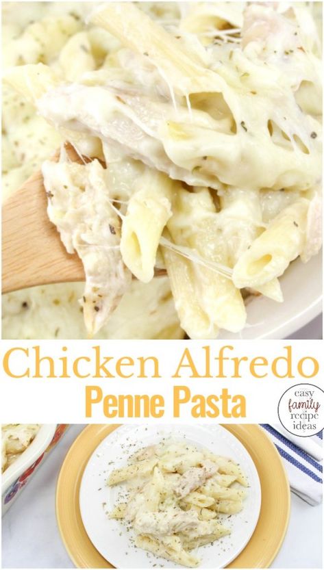 Chicken Alfredo Stovetop, Costco Chicken Alfredo Recipe, Prego Chicken Alfredo Recipe, How To Make Chicken Alfredo, Easy Chicken Alfredo Recipe Simple, Cream Cheese Chicken Alfredo, Penne Pasta Alfredo, Easy Chicken Alfredo Bake, Ziti Chicken