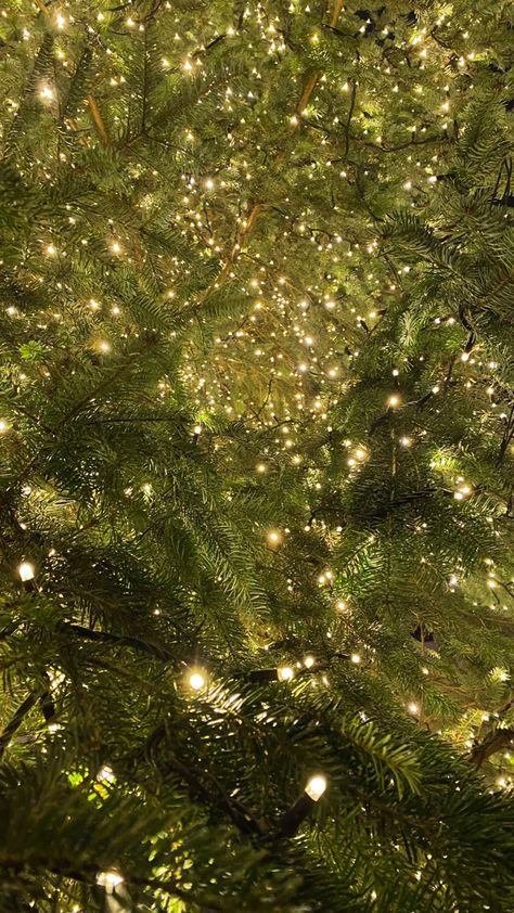 Christmas Dreaming Wallpaper, Christmas Glitter Aesthetic, Dark Green Aesthetic Christmas, Christmas Garland Aesthetic, Evergreen Christmas Aesthetic, Wintergreen Aesthetic, Cosy Christmas Wallpaper, Green Christmas Asthetics, Light Green Christmas Wallpaper