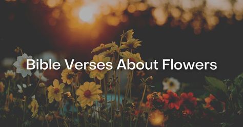 53+ Bible Verses About Flowers Wildflower Scripture, Bible Verses About Flowers, Verses About Flowers, Flower Bible Verse, Short Bible Verses, John 15 5, Smelling Flowers, Bible Verses About Love, Verses Wallpaper