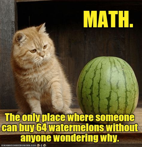 Question #5- A man buys 64 watermelons... Math Memes Funny Hilarious, Watermelon Meme, Math Memes Funny, Memes Funny Hilarious, Crazy Facts, Math About Me, Persuasive Writing, Math Humor, Embarrassing Moments