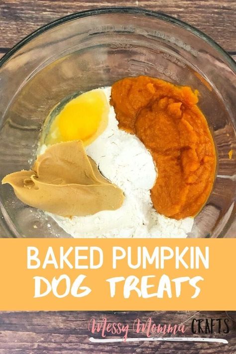 Pumpkin Dog Treats Recipe, Puppy Treats Homemade, Dog Treats Homemade Pumpkin, Pumpkin Yogurt, Homemade Pet Treats, Dogs Treats, Cook Dog Food, Pet Snacks, Easy Dog Treat Recipes