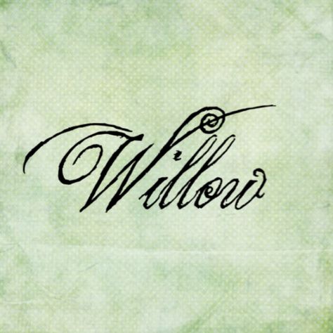 Willow - Girls Name Willow Name Aesthetic, Willow Name Tattoo, Willow Tattoo Name, Willow Name Meaning, Willow Name, Lemon Tree Tattoo, Willow Tattoo, Willow Tree Tattoo, Boat Graphics