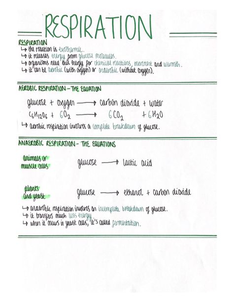 Gcse Biology Paper 1 Revision, Biology Revision Gcse Aqa Paper 1, Biology Paper 1 Revision, Respiration Notes, Carbon Molecule, Gcse Biology, Science Revision, Biology Revision, Organization Notes