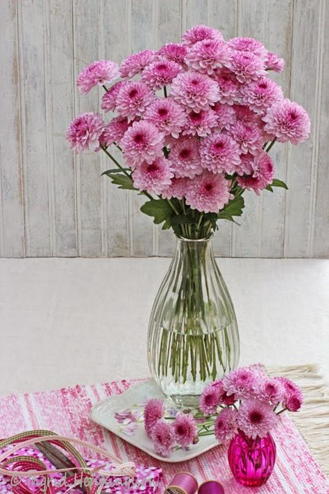 A Bunch for the Weekend-Pink Chrysanthemums-Ingrid Henningsson-Of Spring and Summer Chrisantemum Bouquet, Chrisantemum Flower Bouquet, Chrysanthemum Flower Arrangement, Chrysanthemums Flower, Awesome Gardens, Flower Styling, Chrysanthemum Bouquet, John 1 16, Grace Upon Grace