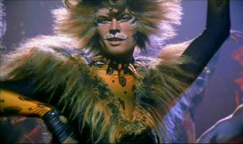 Rum Tum Tugger, John Partridge, Baby Branding, Jellicle Cats, Cats Musical, Theatrical Makeup, Cat Comics, Lots Of Cats, Theatre Nerds