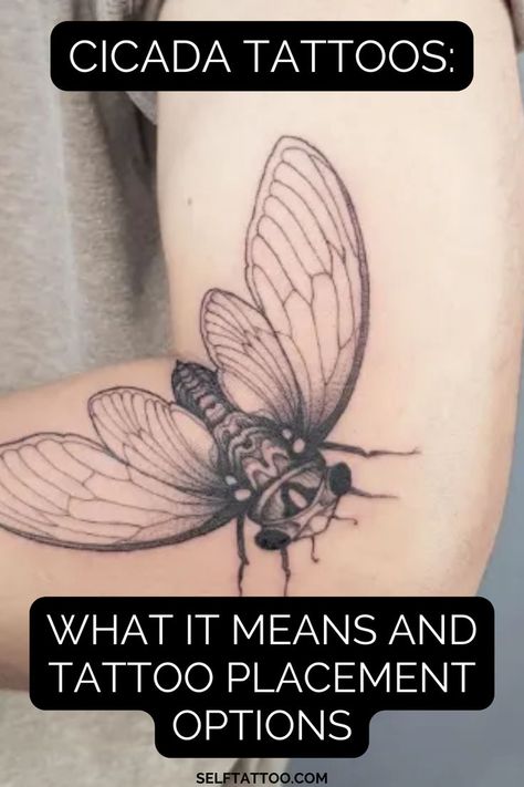 Small Cicada Tattoos. Cicada wings Tattoos. Small Cicada Tattoos Cicada Tattoo design. traditional Cicada Tattoos. SImple Cicada Tattoos meaningful Cicada Tattoos Feminine Insect Tattoo, Cicada Tattoo Meaning, Cicadas Tattoo, American Traditional Cicada Tattoo, Small Cicada Tattoo, Cicada Tattoo Traditional, Cicada Shell Tattoo, Katydid Tattoo, Cicada Tattoo Design