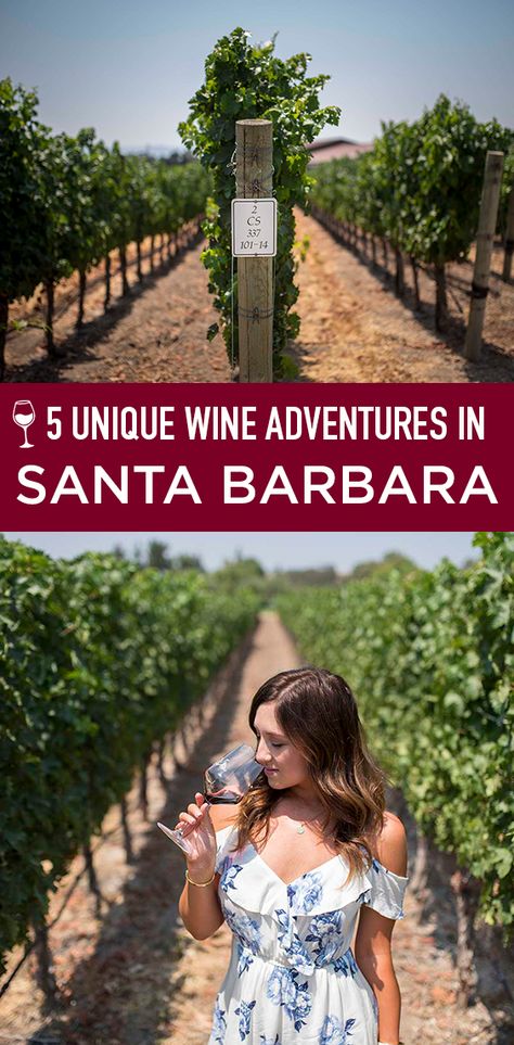 Wine Tasting Santa Barbara, Santa Barbara Bachelorette Party, Santa Barbara Wine Tasting, Santa Barbara Style Interiors, Santa Barbara Wineries, Santa Barbara Style Homes, Wine Pics, Santa Barbara Courthouse Wedding, Los Angeles Aesthetic