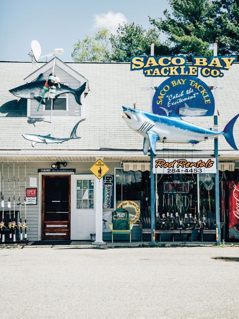 Fish Store Design, Fish Shop Design, Friends Test, Fish Factory, Chicken Store, Fish Monger, Bait Shop, Frank Edwards, Seafood Shop