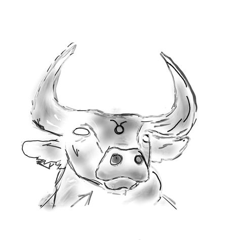 Taurus Sketch Drawing, Taurus Drawing Simple, Bull Drawing Taurus, Taurus Sketch, Taurus Drawing, Bull Art Drawing, Bull Sketch, Bull Nose Ring, Bull Drawing