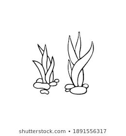 Seaweed Icon Hand Drawn On White Stock Illustration 1891556317 Kelp Drawing Easy, Seaweed Drawing Simple, Seaweed Drawing Easy, How To Draw Seaweed, Kelp Drawing, Seaweed Drawing, Shark Drawing, Fish Drawing, Beach Basket