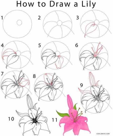 Flower Drawing | Cool2bKids Lily Art Drawing, How To Draw Lilies Step By Step, Lily Flower Drawing Step By Step, Easy Flower Drawings Step By Step, Easy Drawing Tutorials Step By Step, Ako Kresliť, Kraf Kertas, Flower Step By Step, Desen Realist