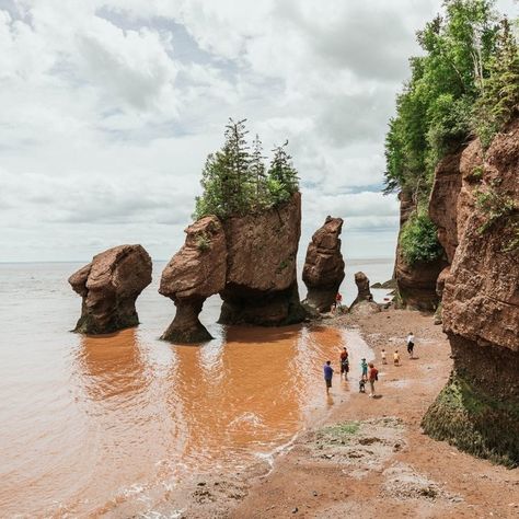 There's just no place like New Brunswick! Imagine exploring the stunning Hopewell Rocks in the Bay of Fundy, spotting magnificent whales on a wildlife tour, and savoring a delicious freshly-caught seafood feast. Let us help you design your dream vacation with our custom independent travel packages and discover the best of this captivating province. Check out tour packages here: https://www.andersonvacation.com/province/new-brunswick . 📸 by Tourism New Brunswick, Josh Mario #NB #exploremore... Hopewell Rocks, Seafood Feast, Canada Summer, Bay Of Fundy, Eastern Canada, Atlantic Canada, Summer Road Trip, Travel Packages, New Brunswick