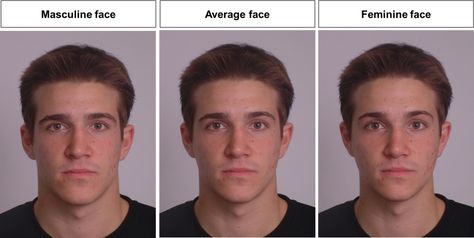 Masculine vs  feminine face Feminine Vs Masculine Face, Woman With Masculine Features, Lookmaxxing Guide, Masculine Eyebrows, Masculine Face Reference, Anatomy Hacks, Goat Pics, Face Shape Contour, Masculine Face