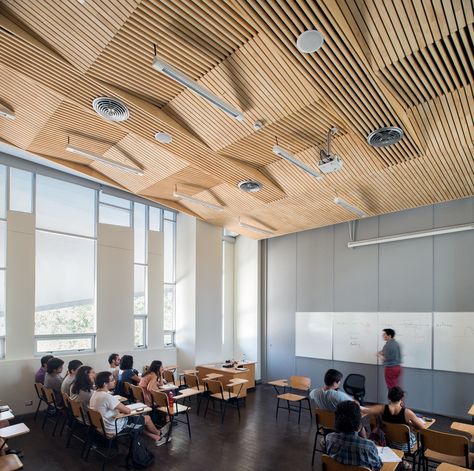 Gallery of Universidad de Chile - Juan Gomez Millas Campus Classroom Building / Marsino Arquitectura - 4 Classroom Architecture, Classroom Ceiling, Dia Beacon, Biophilic Architecture, Choir Room, Auditorium Design, Classroom Interior, Office Ceiling, Multipurpose Hall