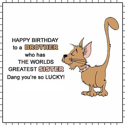 Happy Birthday Brother From Sister, Happy Birthday To Brother, Happy Birthday Brother Funny, Funny Quotes Birthday, Happy Birthday Brother Quotes, Birthday Brother Funny, Brother Birthday Quotes, Brother Humor, Birthday Brother