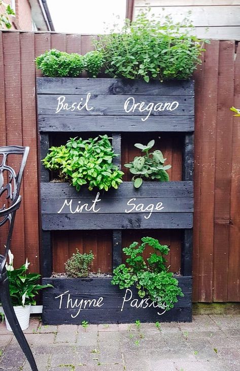 Whimsical Yard, Kebun Herbal, Herb Garden Pallet, Taman Diy, Palette Garden, Jardim Diy, Pallet Garden, Pallets Garden, Have Inspiration