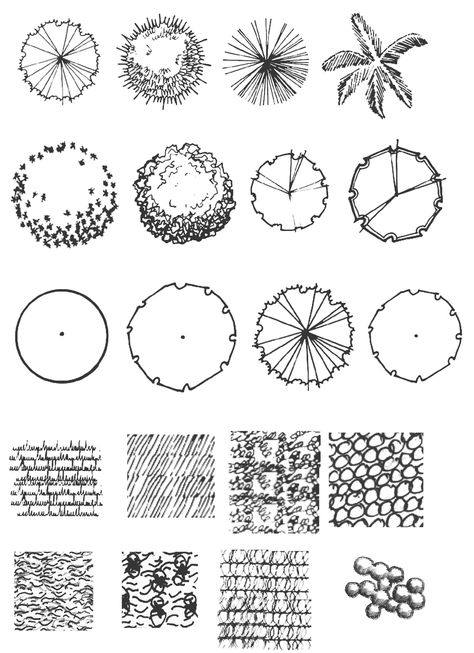 landscape plants in plan brush by Arharsh46 Lighting Symbols, Architectural Trees, Trees Top View, Plant Sketches, Landscape Design Drawings, Landscape Architecture Drawing, Tree Plan, Desain Lanskap, Tree Sketches