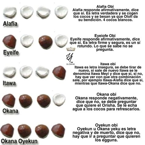 Santeria Spells, Oya Orisha, Shango Orisha, Orisha Oshun, Oshun Goddess, Yoruba Orishas, African Traditional Religions, Orishas Yoruba, Divination Methods