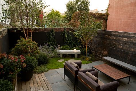 Brooklyn Backyard Visit: A Developer-Built Home Finds Its Outer Cool Grass Allergy, Brooklyn Backyard, Estate Garden, Sun Garden, Dogwood Trees, Public Garden, Garden Tours, Roof Garden, Courtyard Garden