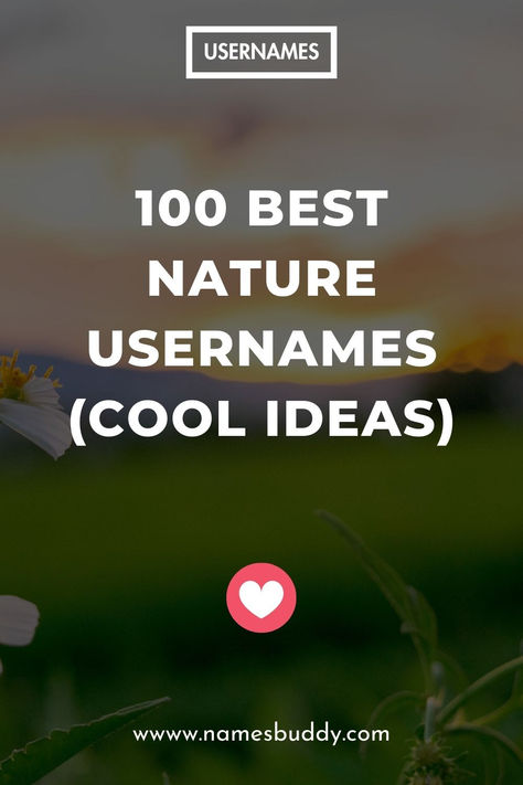 100 Best Nature Usernames Username Ideas For Nature Account, Earthy Instagram Usernames, Nature Photography Instagram Username, Beautiful Username Ideas, Sunflower Username Ideas, Earthy Username Ideas, Beach Username Ideas, Sunshine Username Ideas, Nature Username Ideas