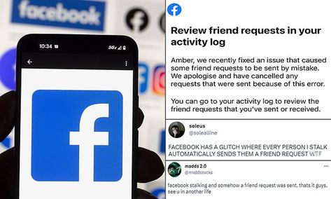 How to see who's been snooping on YOU on Facebook, as glitch sends out accidental friend requests Lazy Kids, Facebook Friend Request, Holiday Snaps, Class Action Lawsuits, Social Media Company, Facebook Photos, Facebook Profile, The Social Network, In Another Life