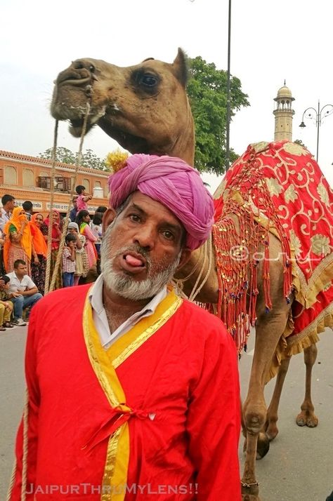 Turban Rajasthani man with camel in Jaipur street during Teej Camel Photography, Teej Festival, Photographs Of People, Funny Face, Travel Photo, Jaipur India, India Travel, Funny Faces, Funny Moments