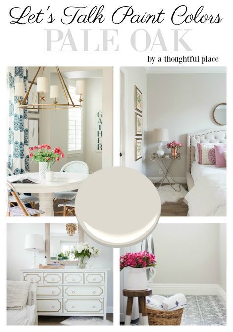 Sharing the best neutral paint colors and why we chose the color for our walls. Pale Oak is tried and true and a beautiful neutral color. Pale Oak Benjamin Moore, Indoor Paint Colors, Paint My Room, Best Neutral Paint Colors, Pale Oak, Paint Pallet, Interior Paint Colors Schemes, A Thoughtful Place, Best Interior Paint