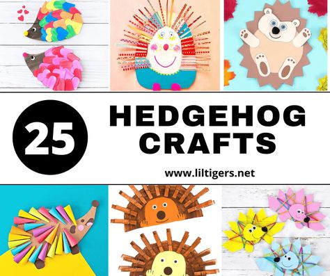 25 Easy Hedgehog Crafts for Kids - Lil Tigers Hedgehog Crafts For Kids, Pinecone Hedgehog, Diy Hedgehog, Hedgehog Crafts, Easy Diy Fall Crafts, Fall Mason Jar Crafts, Spooky Halloween Crafts, Hedgehog Craft, Autumn Leaves Craft