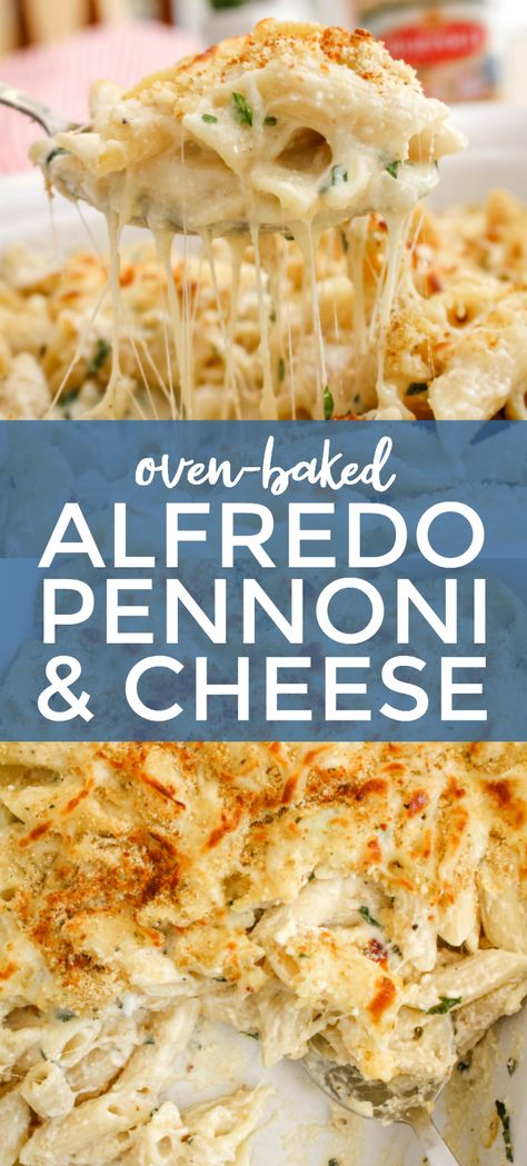 Baked Alfredo, Alfredo Pasta Bake, Cauliflower Alfredo Sauce, Baked Pasta Dishes, Ricotta Cheese Recipes, Cauliflower Alfredo, Pasta Recipes Alfredo, Ricotta Recipes, Ricotta Pasta